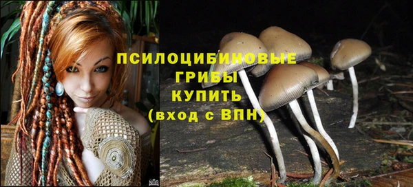 ешки Дмитровск