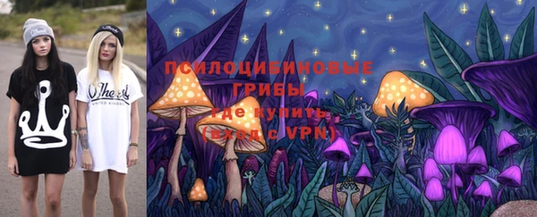 ешки Дмитровск