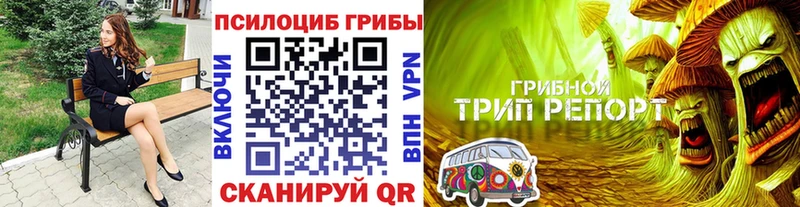 Галлюциногенные грибы Magic Shrooms  купить  цена  Первомайск 